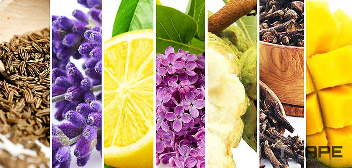 Quels sont les meilleurs réglages de température pour le vapotage ?