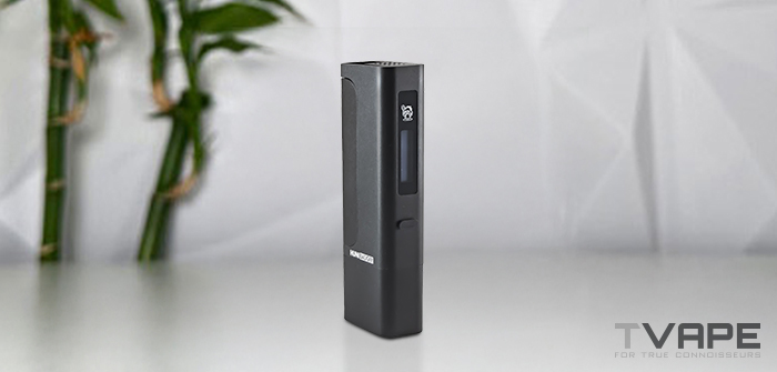 Examen de Huni Badger Pro : E Rig, Dab Pen, les Deux ou Aucun ?