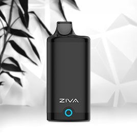 Vue miniature de Yocan Ziva