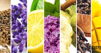 Quels sont les meilleurs réglages de température pour le vapotage ?