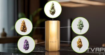 Guide pour Débutants sur les Variétés de Cannabis : Types, Familles et Comment Choisir la Bonne Variété