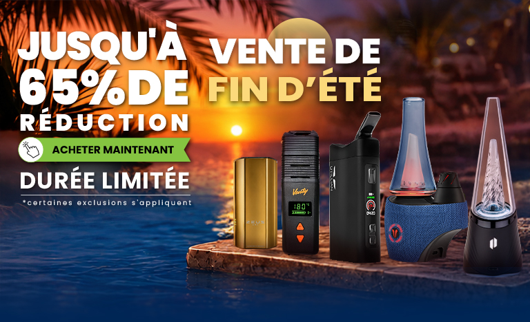 Summer Sale
