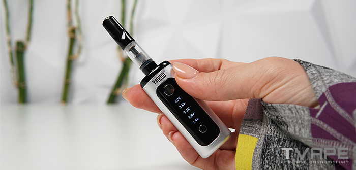 Yocan Kodo Mesure de la taille plus