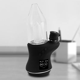 Vue miniature de Focus V Carta 2